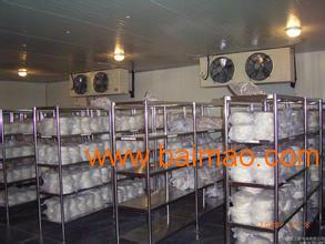 杭州食用冰块批发与供应全指南 价格、厂家及运输服务解析