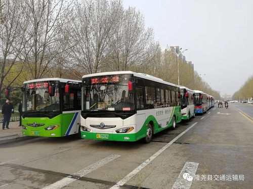 我县道路旅客运输基本恢复运行 道路旅客运输站经营稳步推进